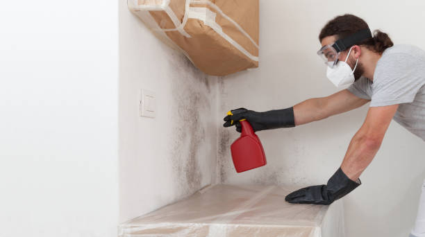 Professional Bathroom Mold Removal technician working in Beulah, MI