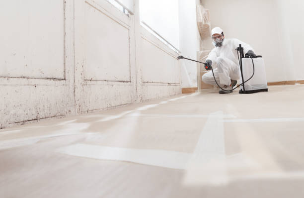 24/7 Emergency Bathroom Mold Removal experts in Beulah, MI